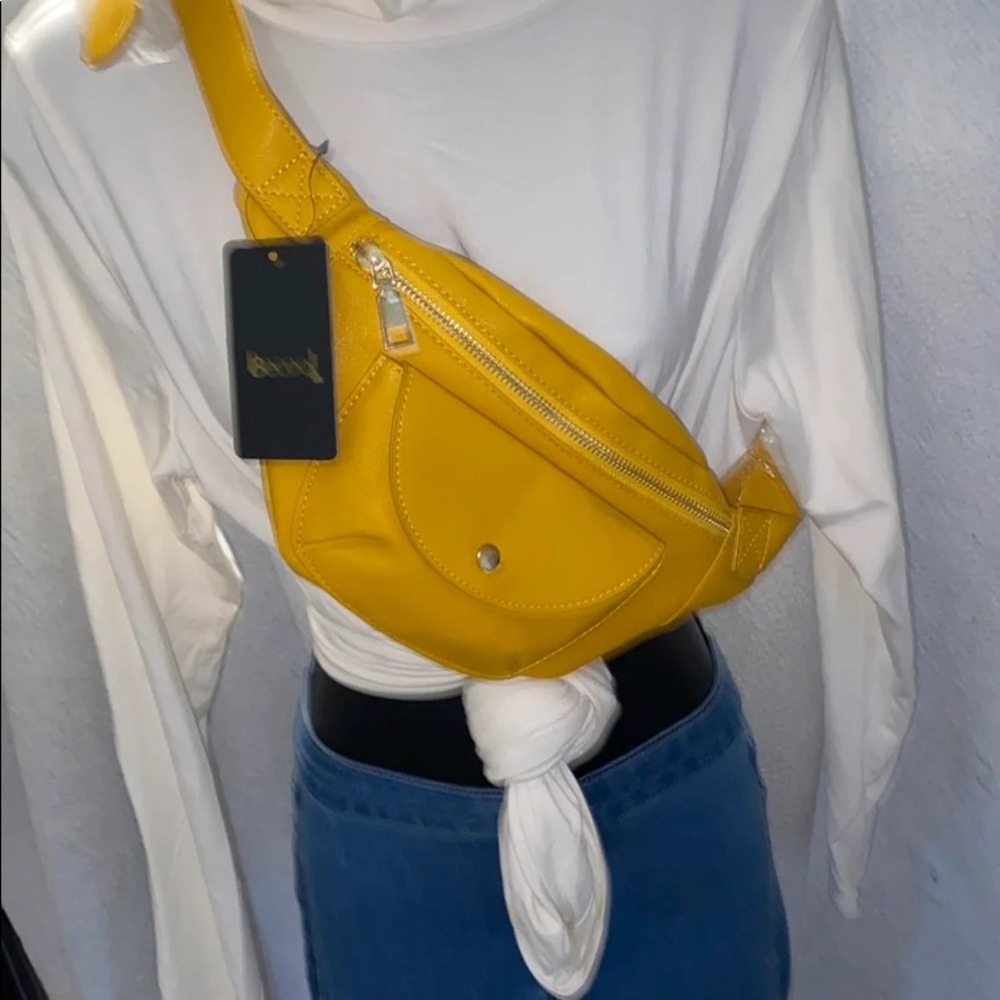 Nwt Fannie pack